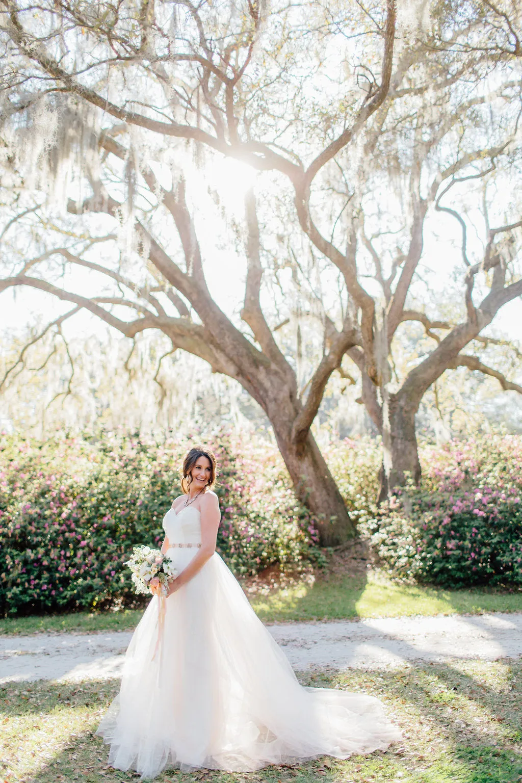 Blush by Hayley Paige Bella Candi Gown