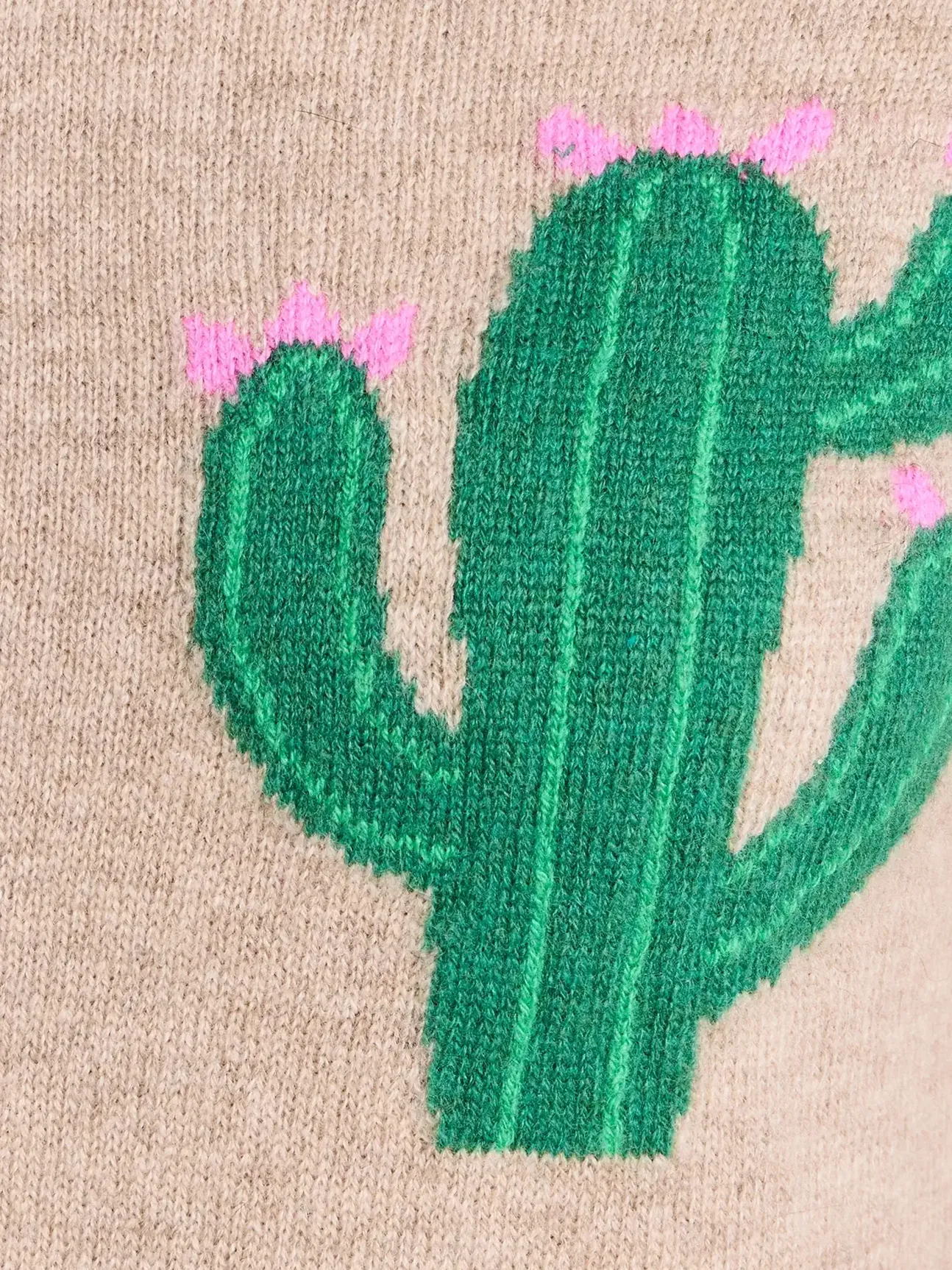 Little Cactus Crew Cashmere Sweater
